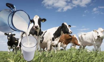 Осторожно  -  сибирская язва